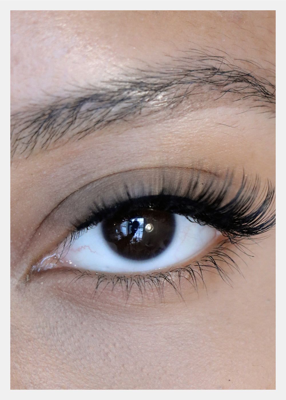 D-LUX Curl Premium Faux Mink Lashes - Lucille